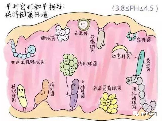 如何识别五花八门的阴道炎？明确病因拒绝复发看这里