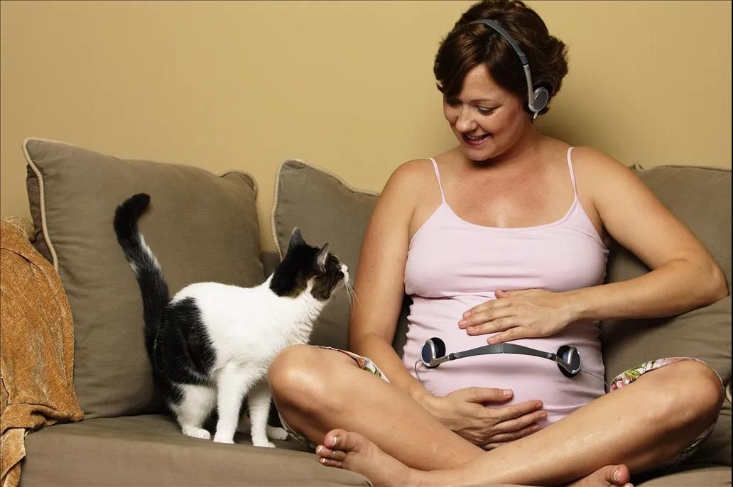 备孕妈妈如何避开「喵」和「汪」对怀孕的潜在风险