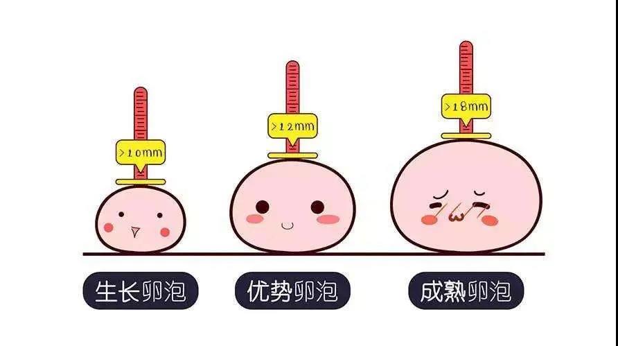 为爱「鼓掌」前，做个排卵监测更放心？