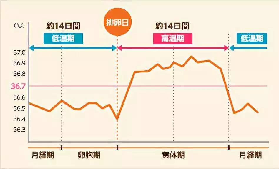 备孕必读：监测排卵的方法有哪些？该选择哪种？