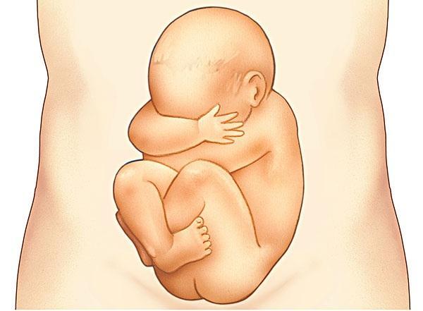 孕12-14周相关资讯