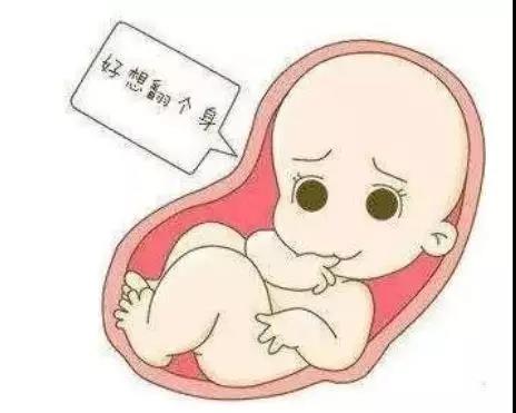胎位不正只有剖宫产一条路么？帮TA在妈妈肚里翻个身可好