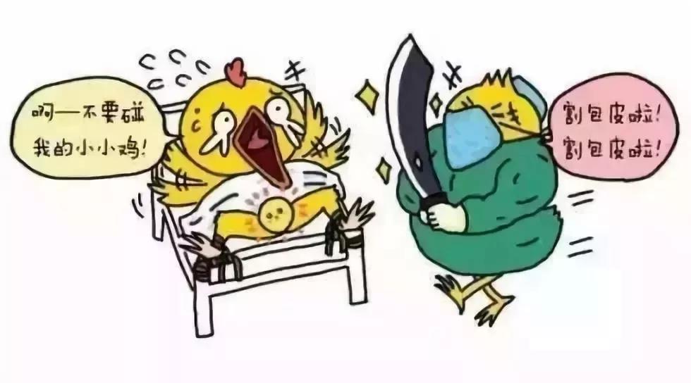 新生儿割包皮还分国籍？
