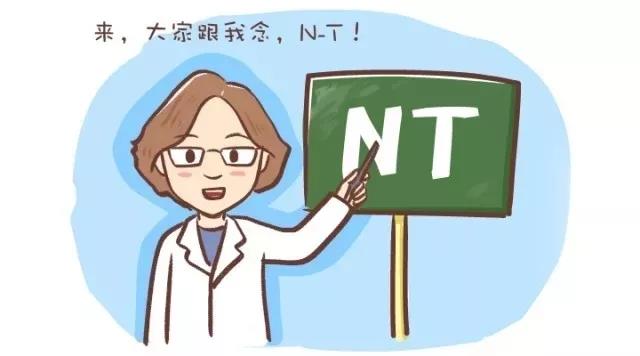 别错过孕期的次排畸＂NT检查＂