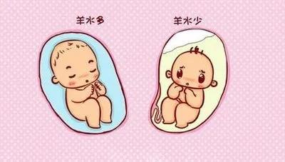 神奇的羊水 | Baby的360°无敌豪华海景房